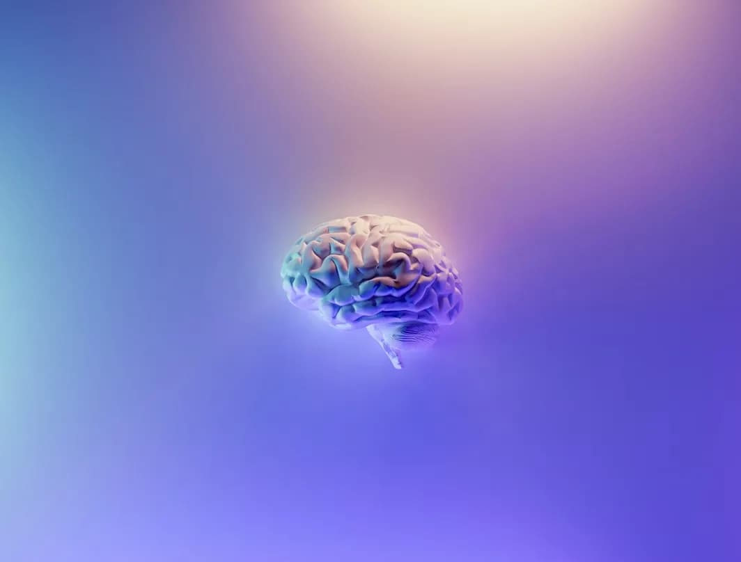 AI for Lawyers & Law Students